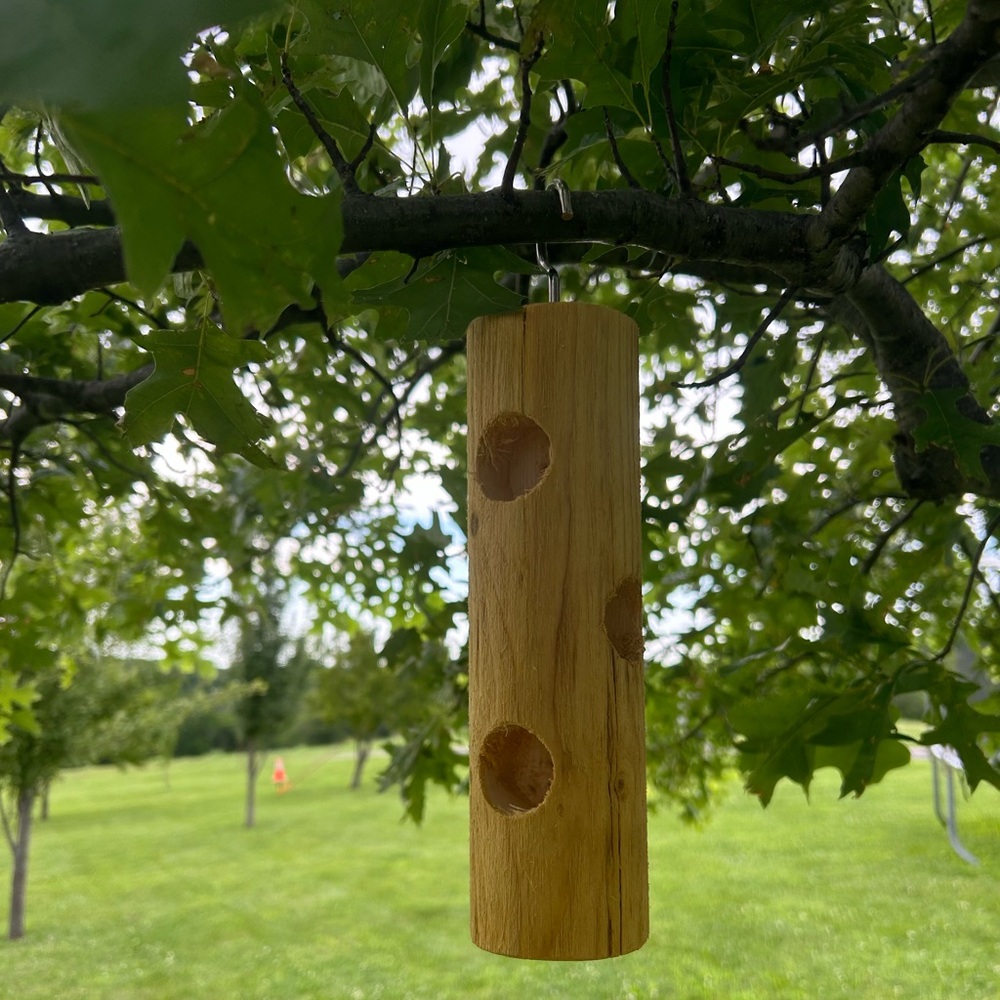 Handmade Suet Bird Feeder Woodpecker Nuthatch Chickadee USA Veteran Made